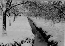 Garten und Bach der Ölmühle im Winter 1954