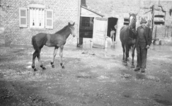 Josef Pesch mit Pferden auf dem Conradshof in Manstedten