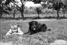 Joachim Lbeck mit Hund Rex 1966
