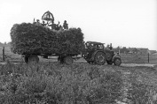 Sinthern - Heuwagen Erntedank um 1950